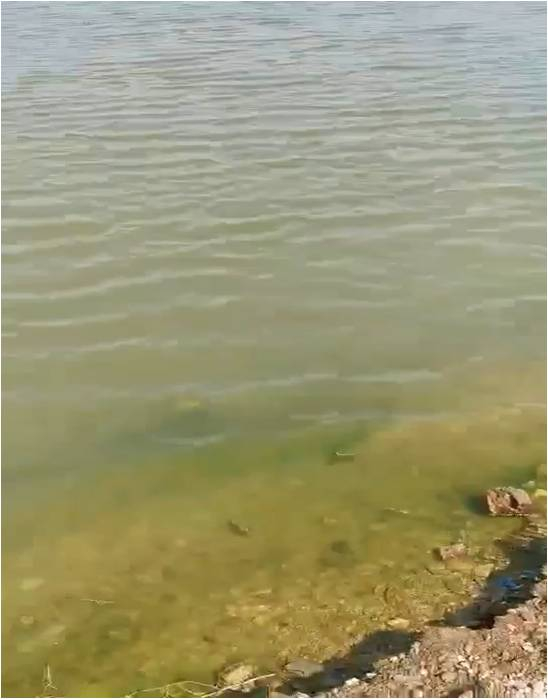 重度黑臭湖庫-大連某礦坑治理案例