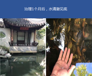 園林黑臭水體-蘇州暢園項目