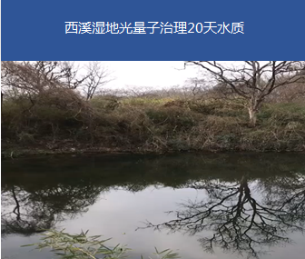 黑臭景觀水體-杭州西溪濕地某池塘治理項目